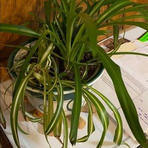 Meet your Posher, Terry